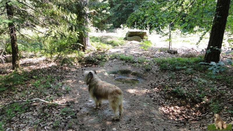 Ritterstein Nr. 151-9 Wasserstein.JPG - Ritterstein Nr.151 Wasserstein